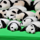 VCG/Getty